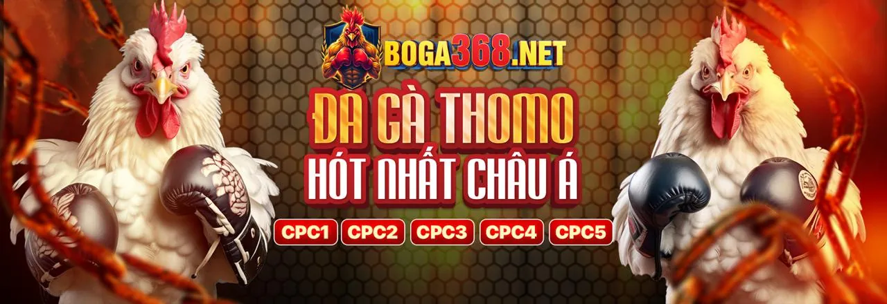 Tin tức Vicwin Chính Thức